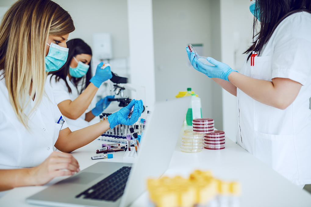 biocompatibility testing