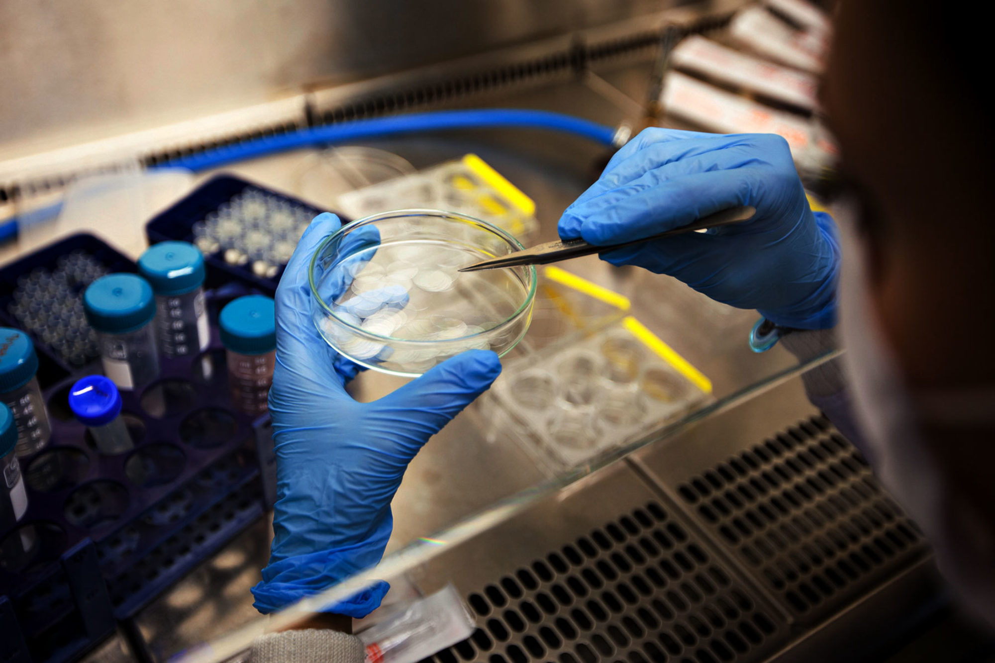 Lab Testing Lab Consulting Laboratory Consulting RCA®